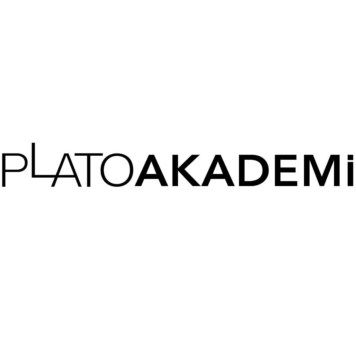 Plato Akademi, hem bulunduğu yerin dokusuna uygun hem de kendi oluşturduğu sanatsal çizgi ekseninde eğitim, atölye ve sertifika programları düzenlemektedir