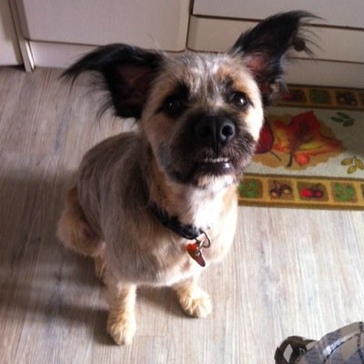 lorenaedela's profile picture. 