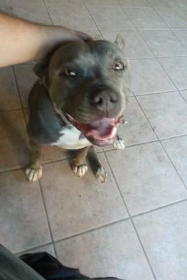 idkwat2_put's profile picture. 