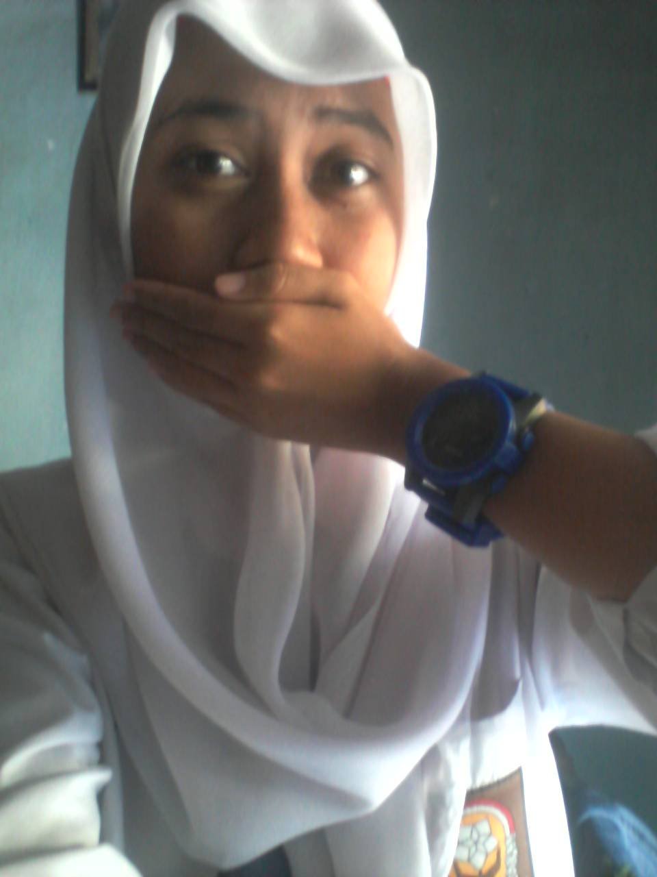 pesek