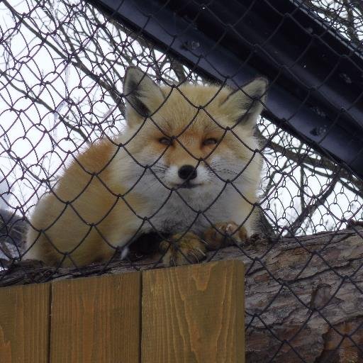 旅行、スポーツ、動物、食事など好きです！フォローバック、相互フォロー歓迎
九州住みでサガン鳥栖、ヴィファーレン長崎を主に応援してます。
夢は漫画家、単行本化、ドラマ化、アニメ化
#相互フォロー
#フォロバ
#漫画家