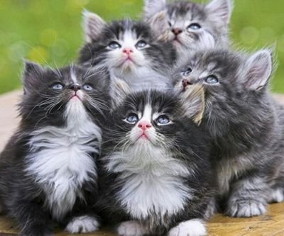 ahmadsalman191's profile picture. 