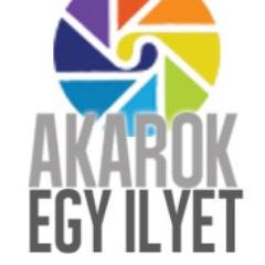 Ahol minden nap új akciók várnak!