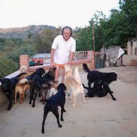 PALEVLAS PRO. ANIMAL (@palevlas) 's Twitter Profile