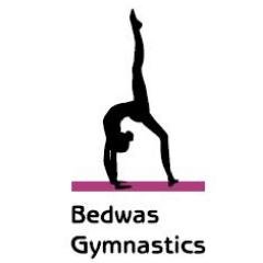 We are a community amateur sports club affiliated to British Gymnastics offering gymnastic classes for all ages and abilities.
