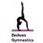 BedwasGymClub's profile image