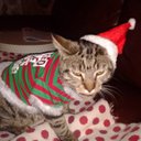 Angela - @AngeAnderson215 - Twitter