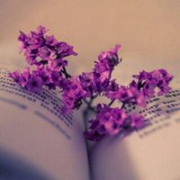 Bear.abha دب ابها  (@ipaddh) 's Twitter Profile