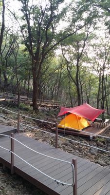 Camping holic