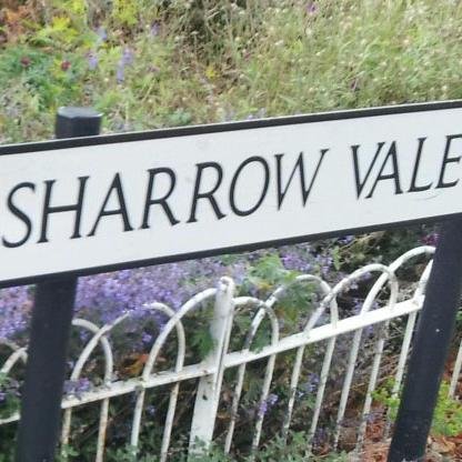 Sharrow Vale Road is a vibrant and eclectic high street