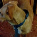 Aaron Valverde - @AaronValverde - Twitter