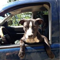 Zelida Barker (@zelidabarker) 's Twitter Profile