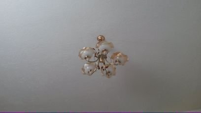 muhic_anel's profile picture. 