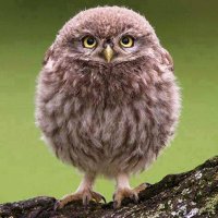 Robert Ukropec (@rukropec) 's Twitter Profile