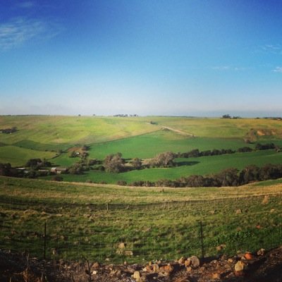 We're a local farm in Bannockburn that produce and sell local grass fed beef and lamb. We provide you the ultimate local paddock to late experience.