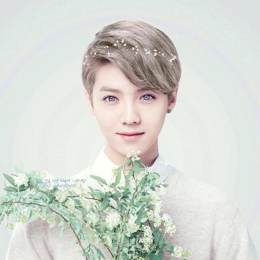 I'M EXO-L เมน เซฮุน เป็นลูกสาว ฮุนฮาน ชานแบค ไคโด้ คยูมิน
พี่คริสอยู่ในใจเสมอ ทั้งเวลาที่ลืมตาและหลับตา