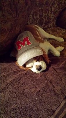 32golfer's profile picture. 