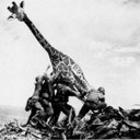 Earlene Collier - @CollierEarlene - Twitter