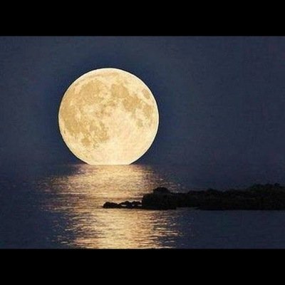 conchitanuncio's profile picture. 