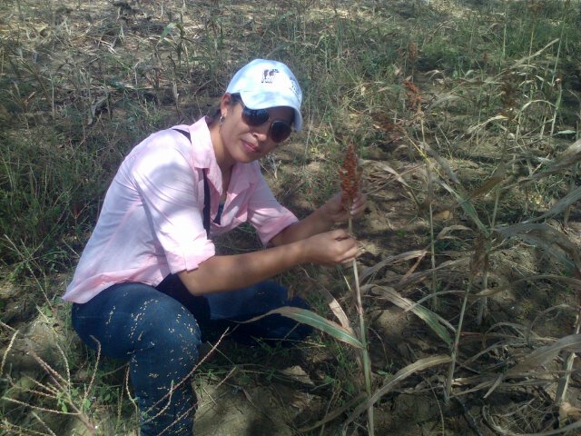 Venalcasa planta Aragua de BNA