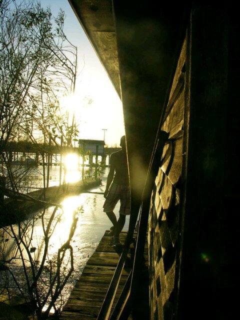 ScottySeesShit's profile picture. Bored, listless pianist, vocalist and culinarian. Just a few things that describe me.