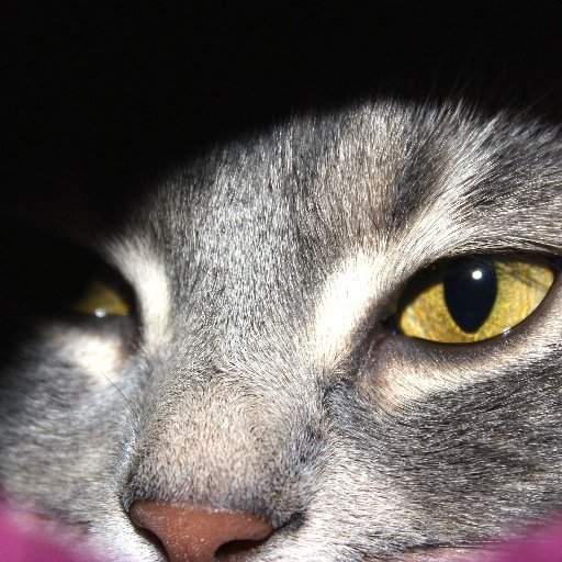 Documentaliste multimédia, passionnée par l'actualité, la radio, les livres, le jazz, l'opéra, l'art, le surréalisme...
mais aussi la Bretagne et les chats !