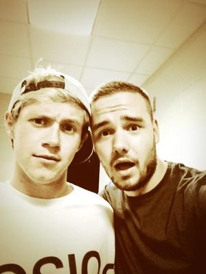 DIzem quem One Direction é lixo e ñ presta, se eles fossem lixo e ñ  prestassem eu ñ teria jogado toda a minha vida social no lixo por causa deles
