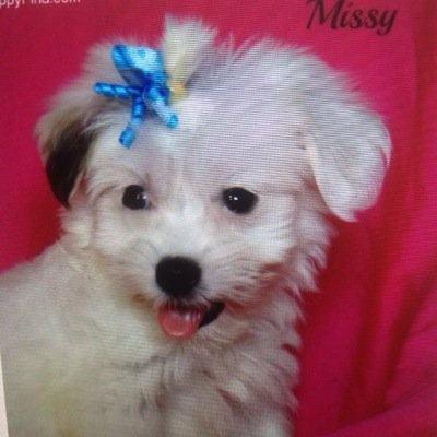 lizamanalo99's profile picture. 