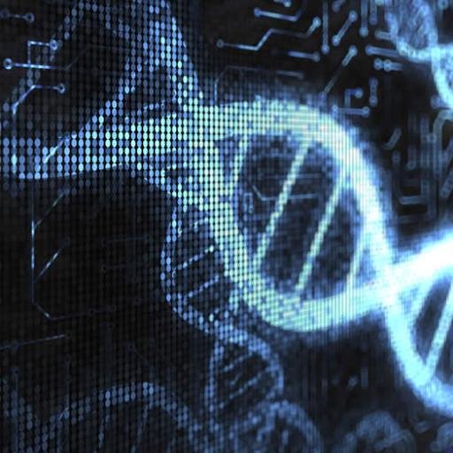 Mira_Bene's profile picture. Your standard computer geek with some extra toppings in biology, space, engineering and AI.