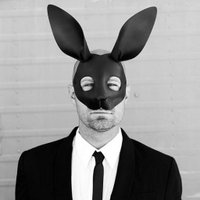 Rabbit (@dry_rabbit) 's Twitter Profile