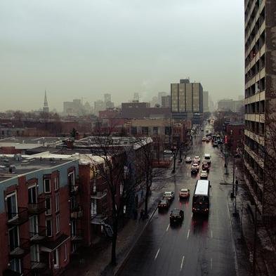 sapid_weekdays's profile picture. 