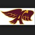 AHS Student Council (@ankenystuco) Twitter profile photo