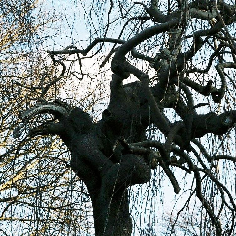 SpaceTimeBob's profile picture. 