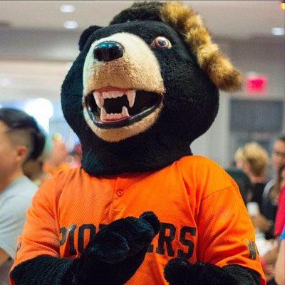 @BillyTheBearWP
