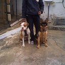 Houssam (@05_houssam) Twitter