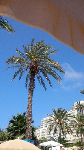 lindsaykennedy7's profile picture. Mum of 2 Gorgeous Girls,Fun loving,wicked sense of Humour ... Don't judge a book by its cover ... my views are my own