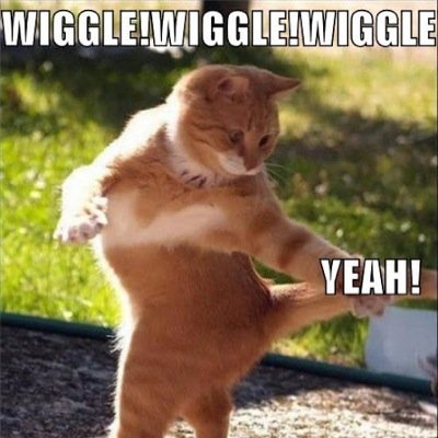 #WiggleWiggle