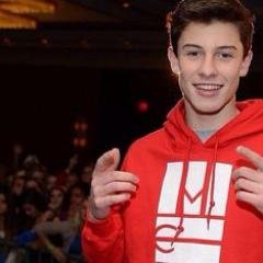 lshawnmendes's profile picture. Please RT this https://t.co/yNESliMs6G Shawn mendes. Go follow @anayouaremysong