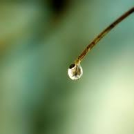 a626422352's profile picture. 