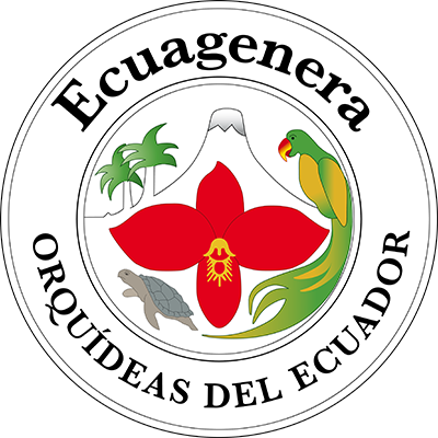 Ecuegenera, una empresa familiar especializada en la producción y la conservación de las especies de orquídeas e híbridos .