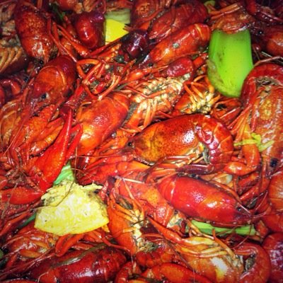 Father, husband, owner @BeviSeafoodCo. All opinions are mine and correct.