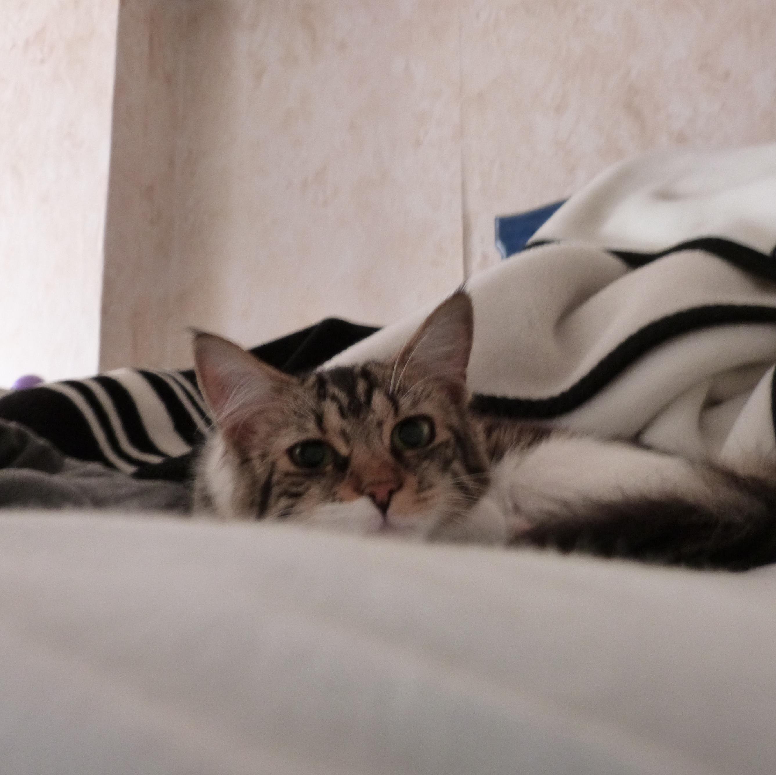 _Nonexistent's profile picture. 