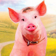 d_fienberg's profile picture. Porcine alter ego to @TheFienPrint. Dedicated mostly to sports — USC, Red Sox, Patriots, etc — and politics and shouting angrily into the void.