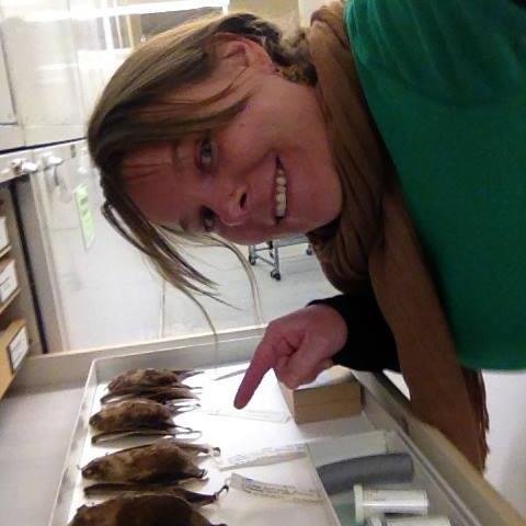 Parasite enthusiast and chipmunk whisperer. Assistant Curator of Terrestrial Mammals @NHMLA. Views & tweets mine. she/her