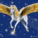 Nova Angel - @NovaAngel7 - Twitter