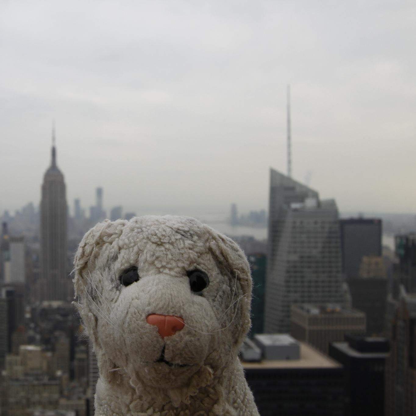 Founder of the Cuteness association with @PercyPlush

Cute, Nice, Globetrotter.
