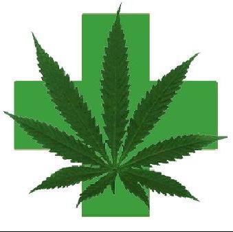 Advocating for disabled and low income cannabis patients to get access to their medicine.