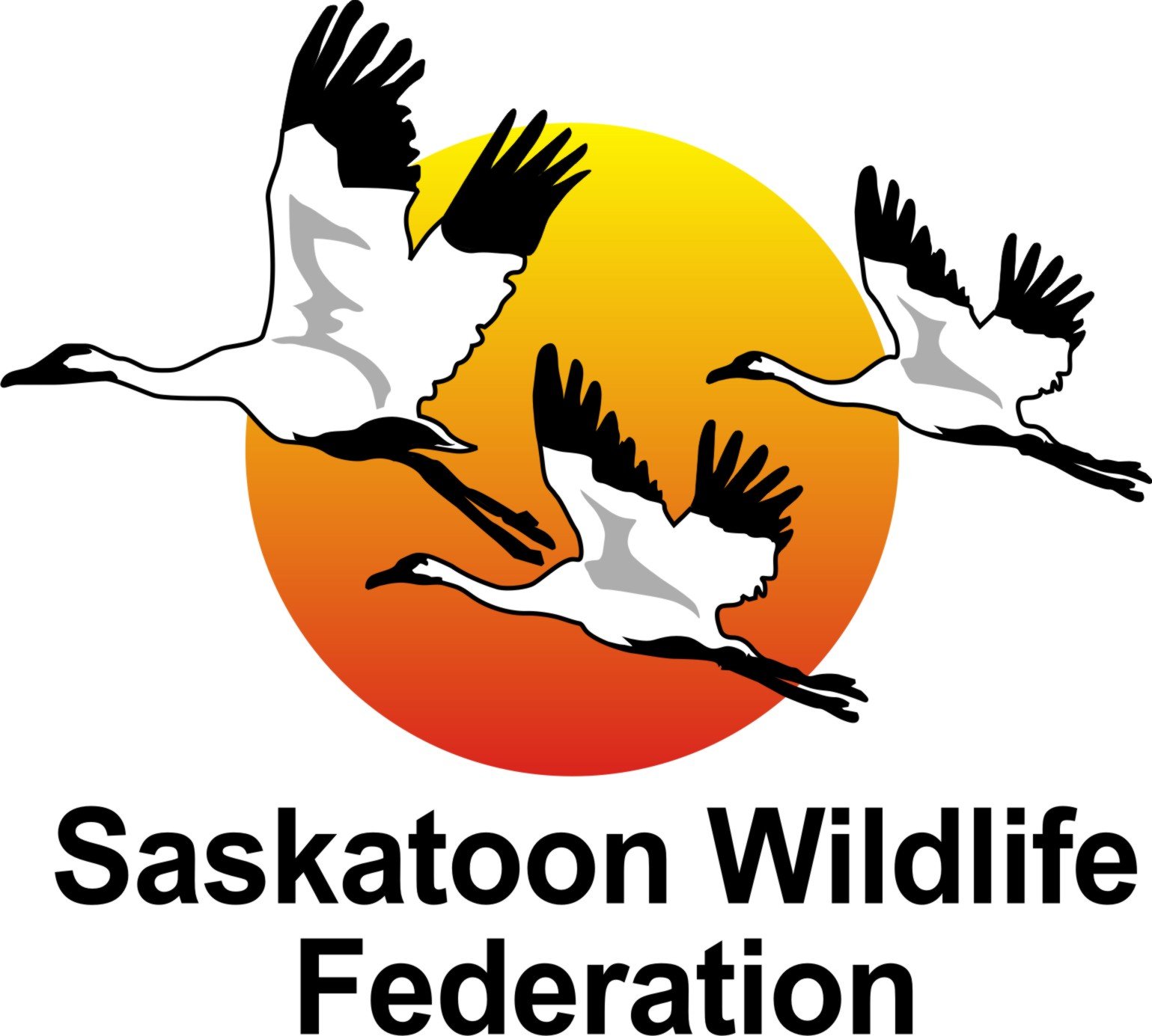 toonwildlife's profile picture. SWF is a non profit organization committed to conservation and promoting safe use of outdoor activities including, target shooting, hunting, fishing, archery.
