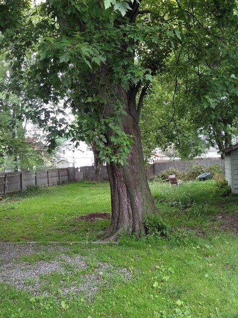 thepotzfamily's profile picture. 