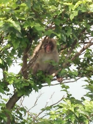 qc3wzie5zqbgy01's profile picture. 